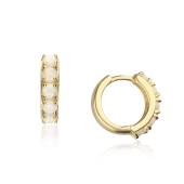 Cercei rotunzi cu opal din argint placat cu aur galben DiAmanti AE25758KY-AS